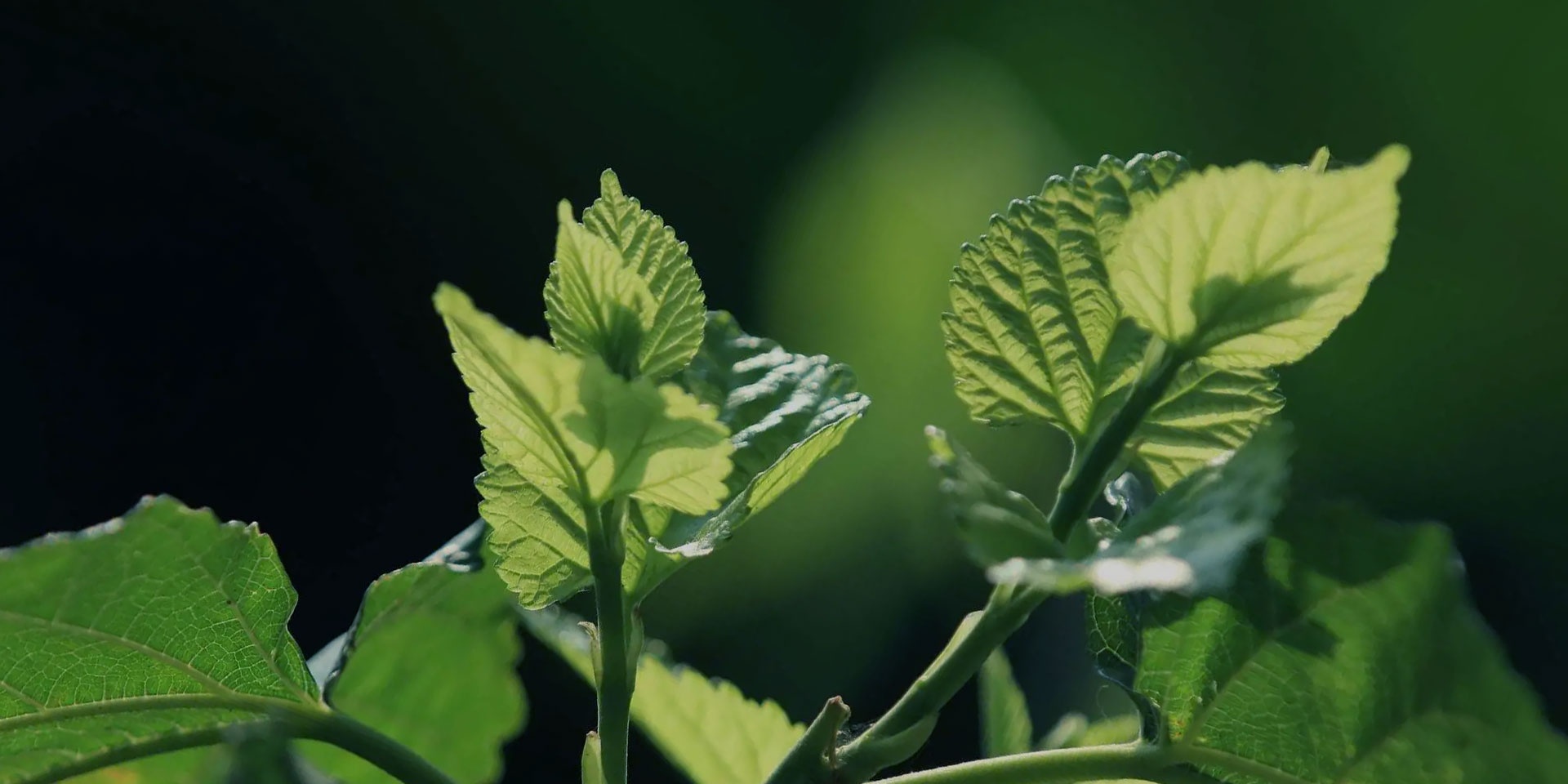 UU����-�й��ٷ���վ